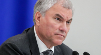 Володин: закон о запрете чайлдфри позволит женщинам самим принимать решение