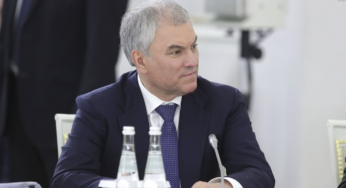 Володин: отказ женщины рожать не попадает под закон о чайлдфри