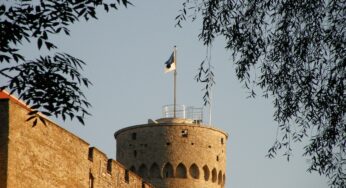 Премьер Эстонии Каллас: слова Макрона о вводе войск на Украину — сигнал РФ