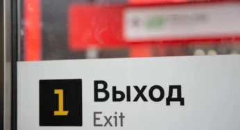 РЖД: высадку животных без хозяина из электричек запретят