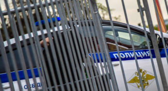 В Томске у женщины арестовали 87 кошек за долги 