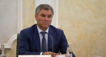 Володин запустил опрос о конфискациях имущества за организацию незаконной миграции