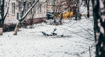 Врач Разаренова: людям с болезнями сердца нельзя купаться в проруби