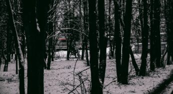 В Санкт-Петербурге на голову прохожему рухнул лед с крыши здания