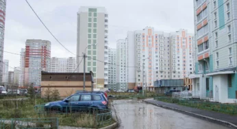 В Норильске енот оставил без света пять многоквартирных домов